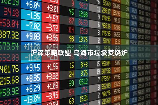 沪深策略联盟 乌海市垃圾焚烧炉